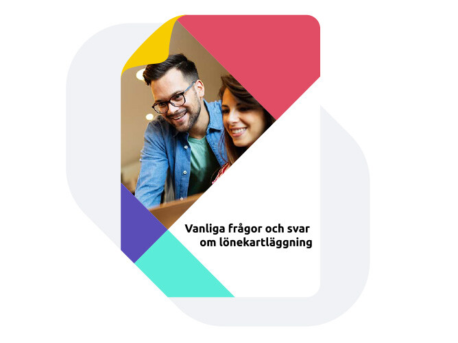 Faktablad Vanliga frågor och svar om lönekartläggning